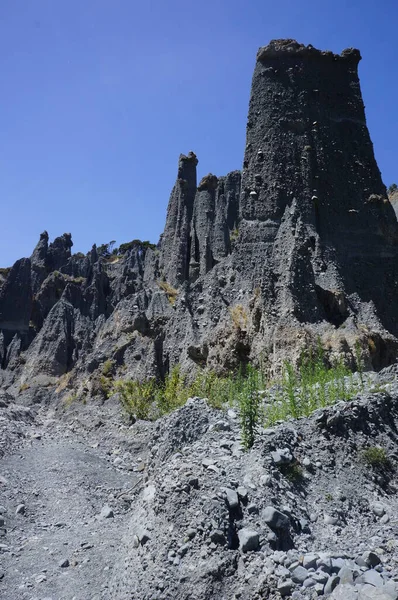 Putangirua Tepeleri 'nin taş gökdelenleri. Kuzey Adası, Yeni Zelanda