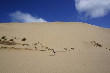 Yeni Zelanda 'daki sarı kum tepeleri