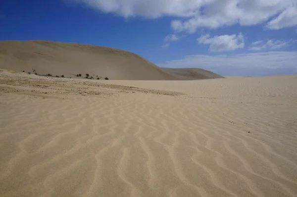 Dune Sabbia Gialla Nuova Zelanda — Foto Stock