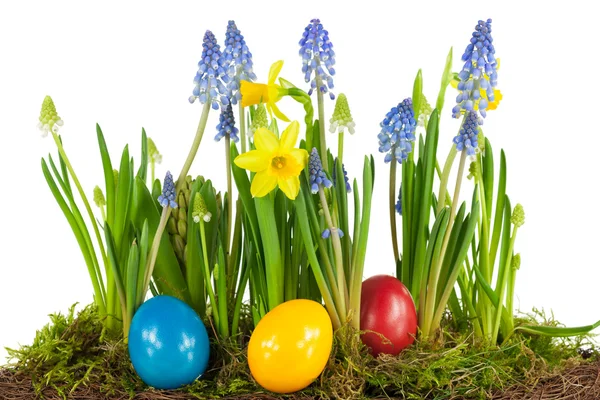 与春天的花朵五彩缤纷的复活节彩蛋 — 图库照片
