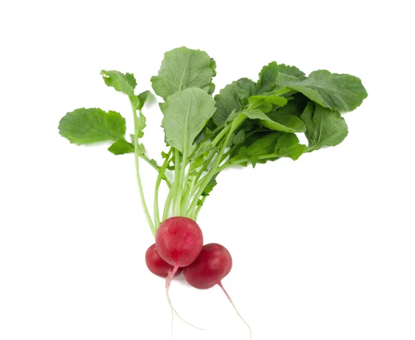 Bunch of fresh radishes — Stock Photo, Image