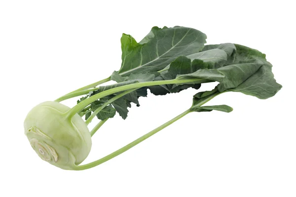 Kohlrabi — Stock fotografie