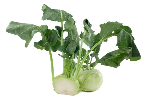 Kohlrabi — Stock fotografie