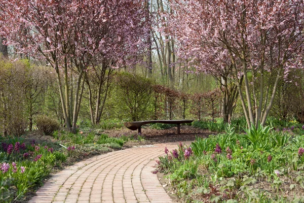 Springtime i trädgården — Stockfoto