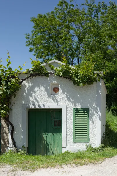 Ancienne cave à vin — Photo