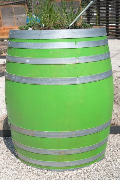 Grün lackiertes Fass — Stockfoto