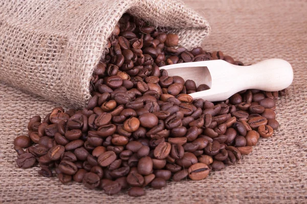 Coffee beans — Stock Photo, Image