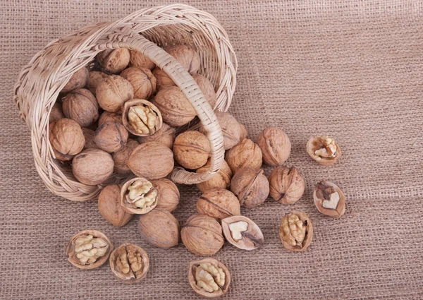 Walnuts — Stock Photo, Image