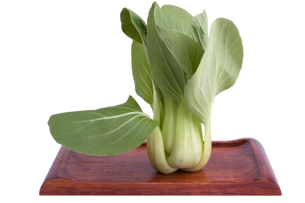 Bok choy — Stock fotografie