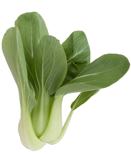 Bok Choy. — Fotografia de Stock