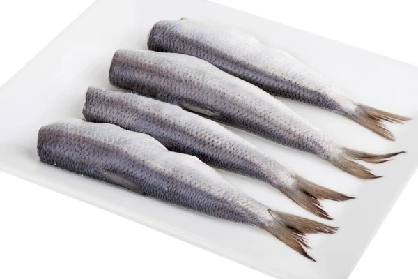 Herring on a plate — Stock Photo, Image