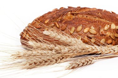 Mısır ekmeği