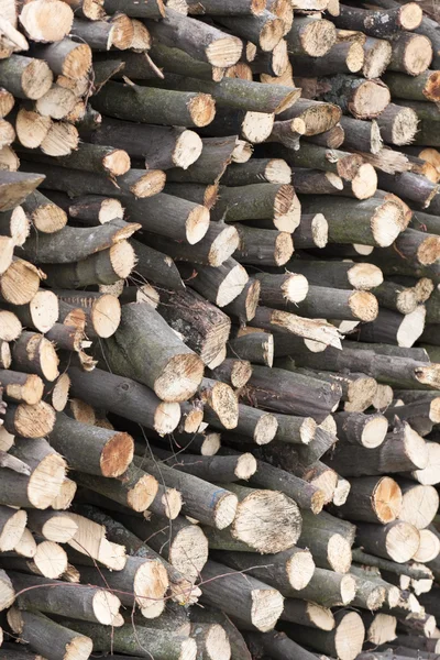 Wood sawn — Stock Photo, Image