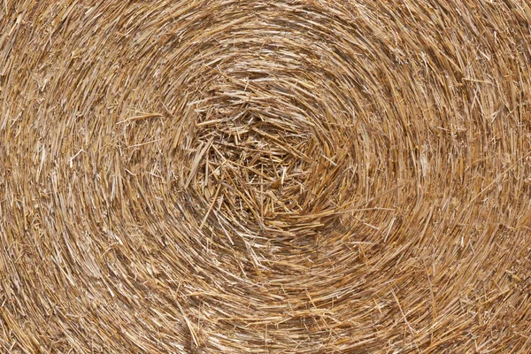 Close up of straw bale — Stock Photo, Image