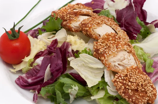 Putenfleisch mit Sesam — Stockfoto