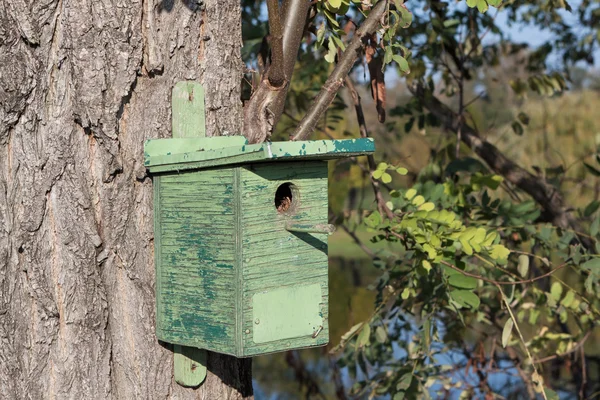 Vieux mangeoire à oiseaux — Photo