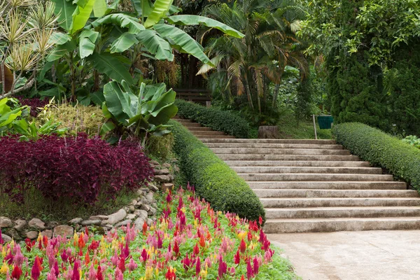 Escaleras en el jardín — Foto de Stock