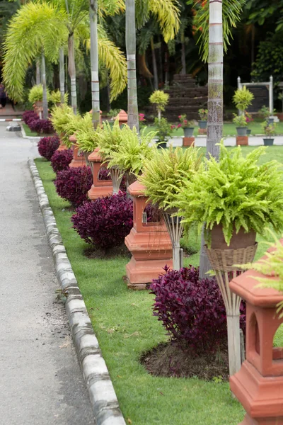 Trottoir op wat phra singh in chiang mai — Stockfoto