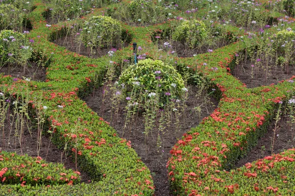 Garten — Stockfoto