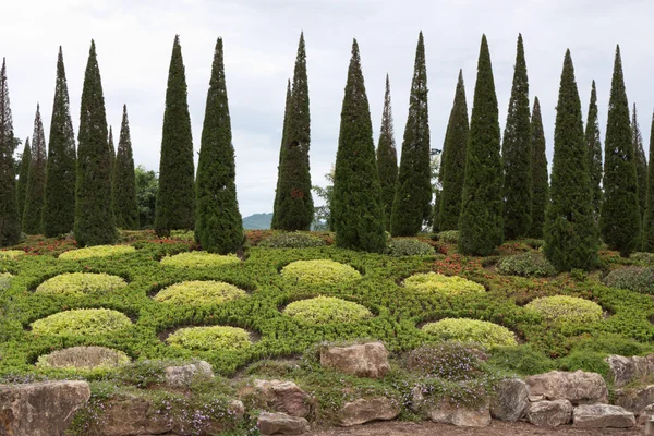 Garten — Stockfoto