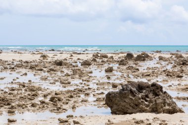 Sahili de düşük tide