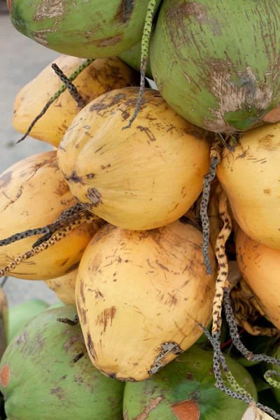 Fresh coconuts — Stock Photo, Image