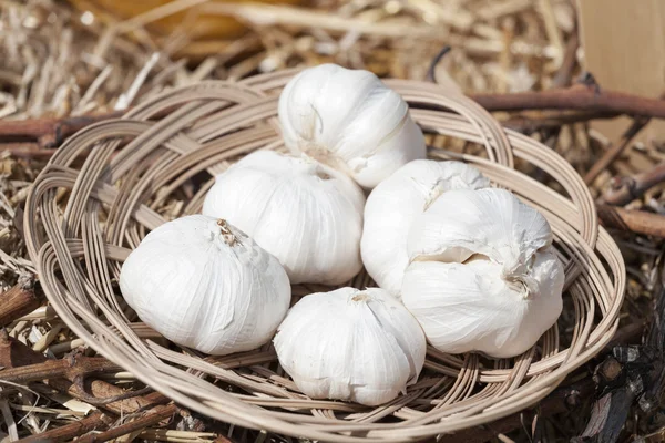 Aglio nel cestino — Foto Stock