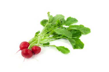 Bir avuç taze turp.