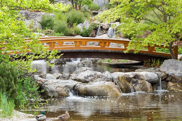 Jardín japonés — Foto de Stock