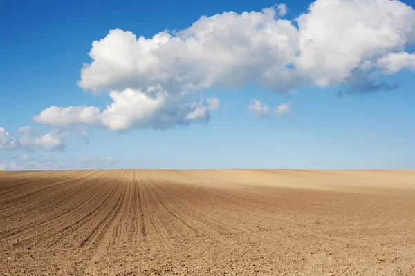 Gepflügtes Feld — Stockfoto