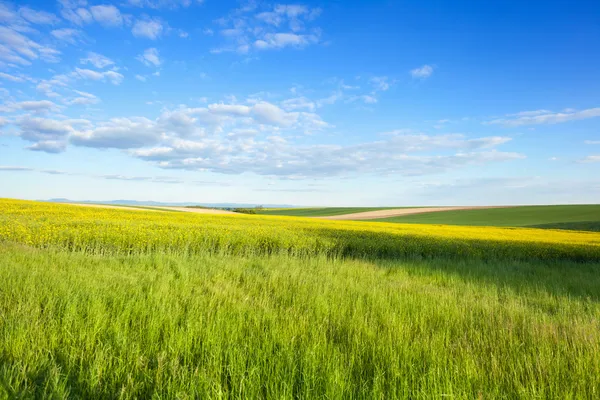 Zemědělství — Stock fotografie