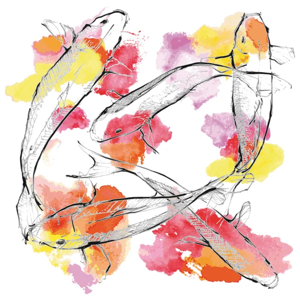 Handskizze von Koi-Karpfen auf Farbgrund — Stockvektor