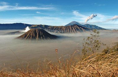 Bromo