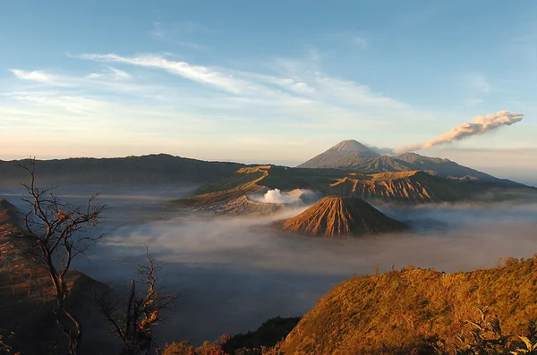 Bromo