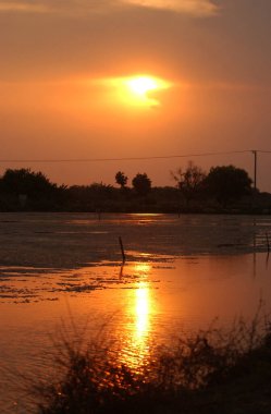 Tambaksegoro köyü, Sidoarjo, Endonezya çevresindeki göletin kenarında güzel bir günbatımı.