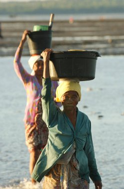 13 Haziran 2003 'te Surabaya City, Doğu Java, Endonezya' da kurak mevsimde çekilen deniz solucanları avlandıktan sonra Kenjeran Sahili yakınlarında yaşayan insanlar sahili terk ediyor.