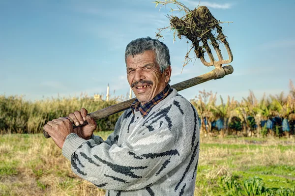 Senior farmer holding hay fork — Stock Photo, Image