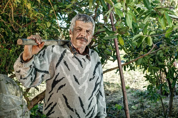 Старший фермер держит вилку — стоковое фото