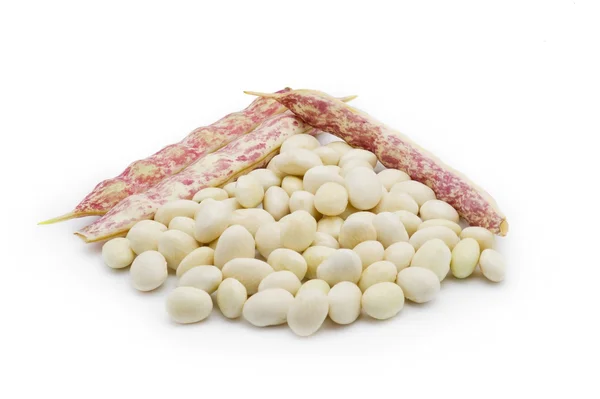 Kacang putih — Stok Foto