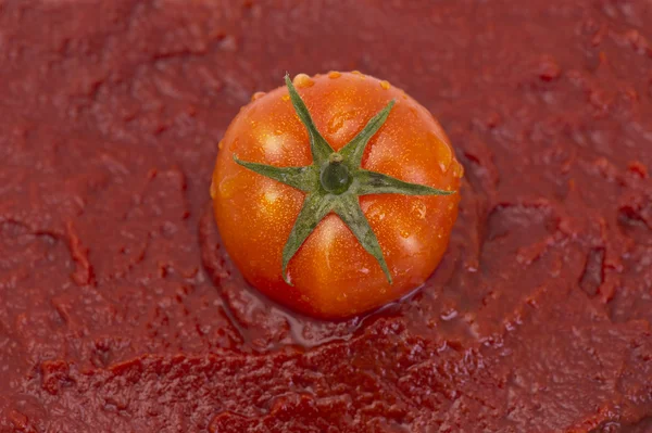 トマト ペースト — ストック写真