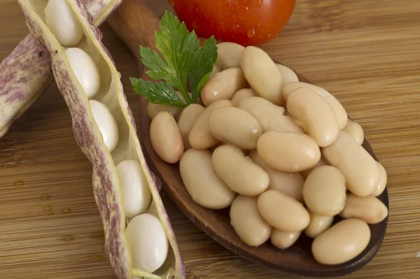 Fagioli bianchi in cucchiaio di legno — Foto Stock