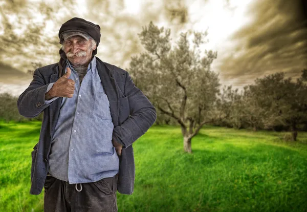 Arabian lebanese man , farmer with thumbs up, clipping path — Stock Photo, Image