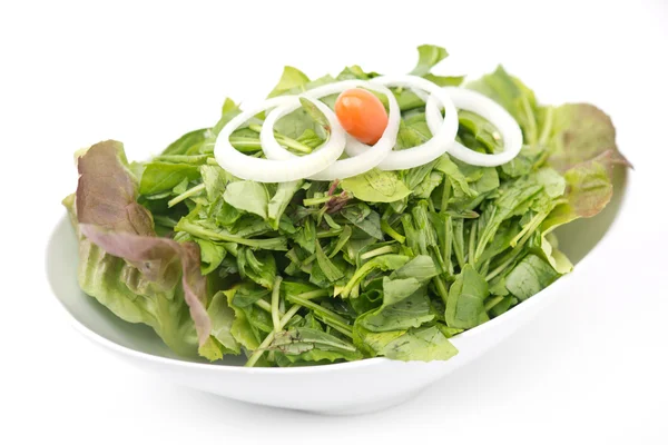 Gemischte frische Salatblätter — Stockfoto