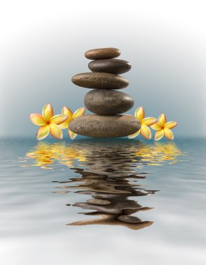 Zen natürmort taşlar