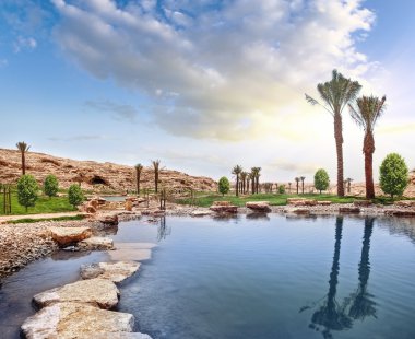 pitoresk palmiye ağacı tropikal Nehri üzerinde eğilir