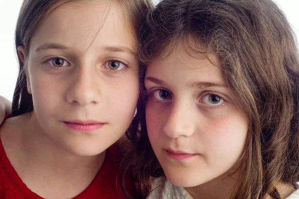 Két gyönyörű nővére, átölelve a elszigetelt fehér — Stock Fotó