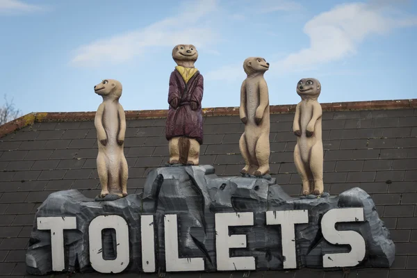 Panneau de toilette Meerkat — Photo
