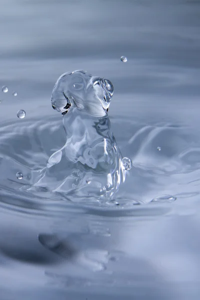 Water splash, dog shaped — Stock Photo, Image