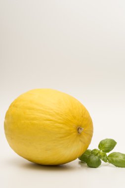Honeydew beyaz bir arka plan üzerinde izole kavun