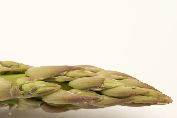 Enkele asperges tip geïsoleerd op witte achtergrondkleur — Stockfoto